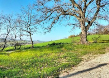 Terreno - Rustico via Serra, 20, San Marcello - foto 14