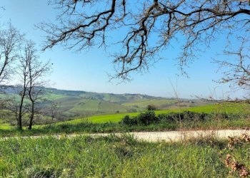 Terreno - Rustico via Serra, 20, San Marcello - foto 15