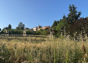 Foto 3 - Terreno edificabile via Piane Tronto
 
snc, Torano Nuovo - foto 3