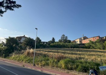 Foto 9 - Terreno edificabile via Piane Tronto
 
snc, Torano Nuovo - foto 9