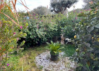 Foto 30 - Independent house VIA VASCELLO
 
9, Tortoreto - photo 30