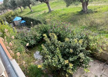 Foto 47 - Independent house VIA VASCELLO
 
9, Tortoreto - photo 47