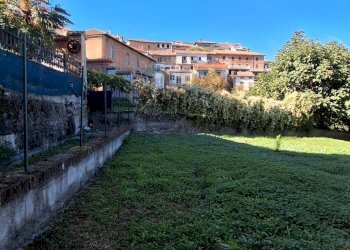 Giardino - Casa semi indipendente Nizza Monferrato - foto 66