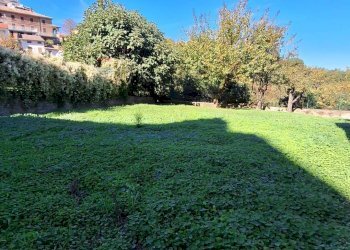 Giardino - Casa semi indipendente Nizza Monferrato - foto 70