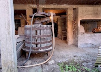 Giardino - Casa semi indipendente Nizza Monferrato - foto 77