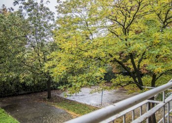 Giardino - Bilocale via Tobruk, 10, Milano (zona Lorenteggio) - foto 8