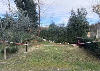 Giardino - Quadrilocale via Raffaello Caverni, Montelupo Fiorentino - foto 13