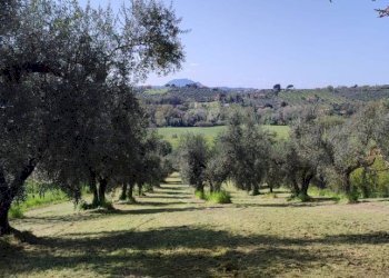 Terreno - Villa via dell'Arci, 23, Fara in Sabina - foto 21