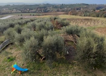 Vista - Villa via dell'Arci, 23, Fara in Sabina - foto 24