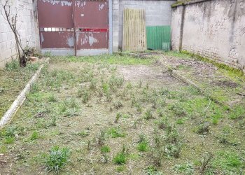 giardino - Casa indipendente piazza Aldo Moro, Bagnolo Cremasco - foto 91