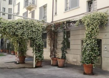 Cortile interno - One-room apartment piazza Santa Maria del Suffragio, 3, Milano - photo 12
