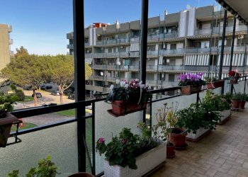 Terrazzo - Trilocale viale Alessandro Ruspoli, Roma - foto 13