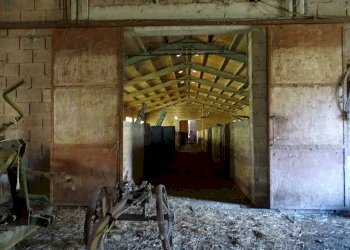 Rustico strada della Val di Serra, Terni - foto 17