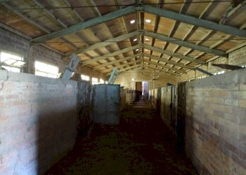 Rustico strada della Val di Serra, Terni - foto 19