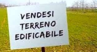 lu1.jpg - Terreno edificabile Luni - foto 2