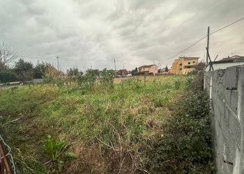 lu2.jpg - Terreno edificabile Luni - foto 3