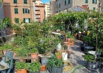 11.jpg - Appartamento all'asta Via Chiaravagna 35, Genova (zona Sestri Ponente) - foto 10