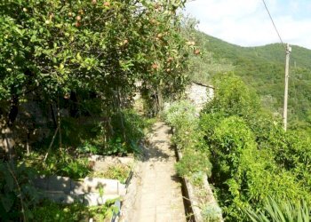 P1000882.jpg - Casa semi indipendente Via Arbocò 5, Rapallo - foto 15