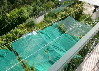 P1000839.jpg - Casa semi indipendente Via Arbocò 5, Rapallo - foto 17