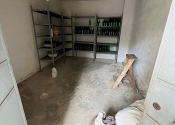 WhatsApp Image 2026-01-17 at 12.48.46(2).jpeg - Villa Via Stella, Pianopoli - foto 8