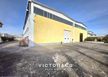 capannone in vendita a Novara - Locale Commerciale Strada Provinciale per Biandrate 16, San Pietro Mosezzo - foto 3