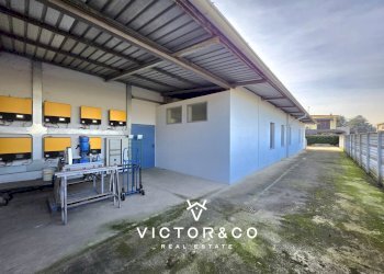 capannone in vendita a Novara - Locale Commerciale Strada Provinciale per Biandrate 16, San Pietro Mosezzo - foto 24