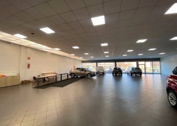 Capannone via del Pretorio, Sassuolo - foto 3