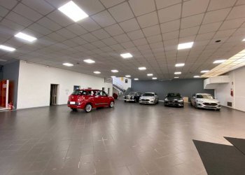 Capannone via del Pretorio, Sassuolo - foto 4