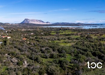 Villa a Schiera San Teodoro - foto 2