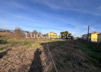 Agricultural land Capannori - photo 1