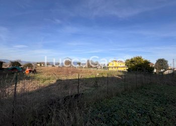 Agricultural land Capannori - photo 4