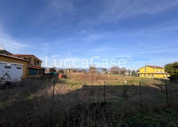 Agricultural land Capannori - photo 5