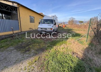 Agricultural land Capannori - photo 6