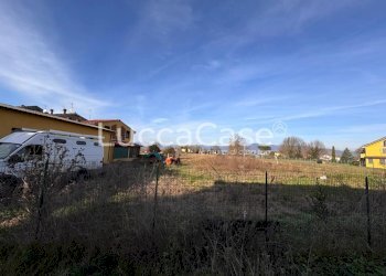 Agricultural land Capannori - photo 7