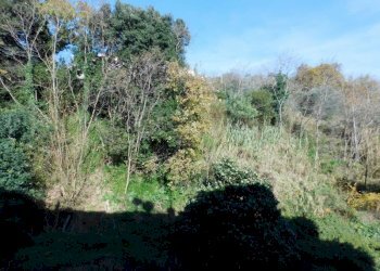 Three-room apartment Savona (neighborhood Lavagnola) - photo 20