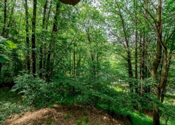 Rustico Via Vola, SNC, Barge - foto 12