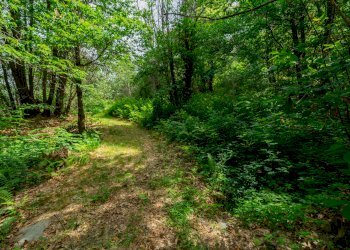Rustico Via Vola, SNC, Barge - foto 15