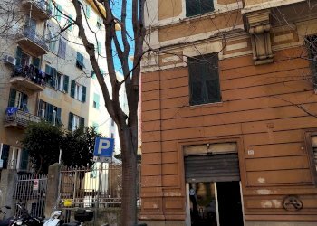 Locale Commerciale via g.b. D'Albertis, Genova (zona San Fruttuoso) - foto 3