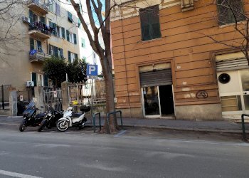 Locale Commerciale via g.b. D'Albertis, Genova (zona San Fruttuoso) - foto 7