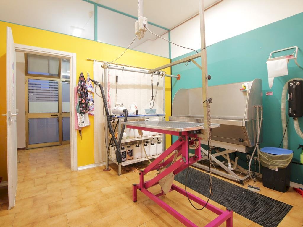 Attività Commerciale Via Andrea Costa, Bologna (zona Saragozza) - foto 2