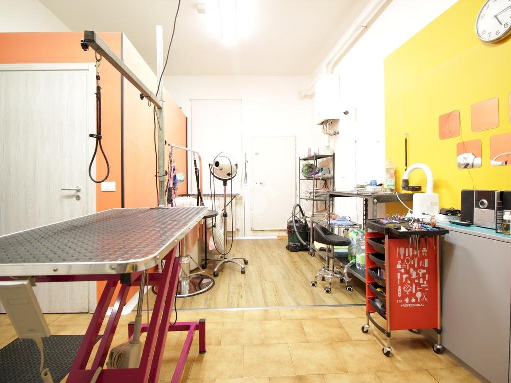 Attività Commerciale Via Andrea Costa, Bologna (zona Saragozza) - foto 3