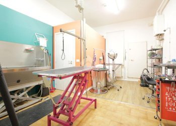 Attività Commerciale Via Andrea Costa, Bologna (zona Saragozza) - foto 1