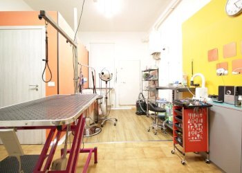 Attività Commerciale Via Andrea Costa, Bologna (zona Saragozza) - foto 3