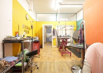 Attività Commerciale Via Andrea Costa, Bologna (zona Saragozza) - foto 4