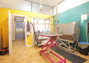 Attività Commerciale Via Andrea Costa, Bologna (zona Saragozza) - foto 5