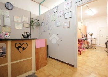 Attività Commerciale Via Andrea Costa, Bologna (zona Saragozza) - foto 9