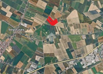 Terreno agricolo Via canala, Ravenna (zona Camerlona) - foto 2