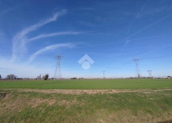 Terreno agricolo Via canala, Ravenna (zona Camerlona) - foto 5