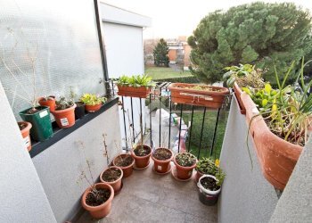 Trilocale Via Cazzaniga, Liscate - foto 22