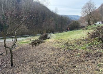 Independent house Regione Rocchea, Canelli - photo 8